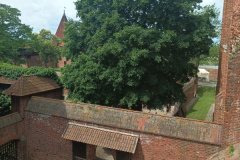 IMG_20250607_122200