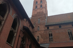 IMG_20250607_122841