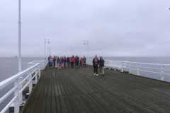 IMG-20250711-WA0050