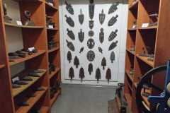 IMG-20250711-WA0104