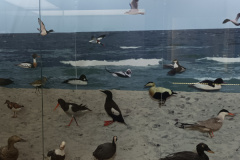 IMG_20250711_114737