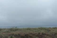 IMG_20250711_150504