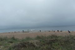 IMG_20250711_150757
