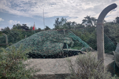 IMG_20250722_104711893_HDR