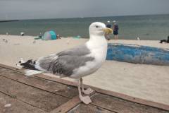 IMG_20250722_121625066_HDR