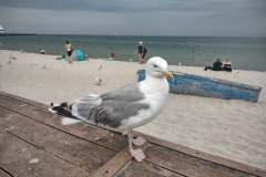 IMG_20250722_121631742_HDR