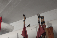 IMG_20250722_150601342