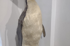 IMG_20250722_152820531