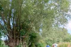 IMG-20250814-WA0013